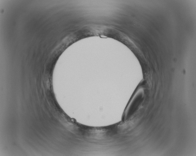 X0000062900313200602101813