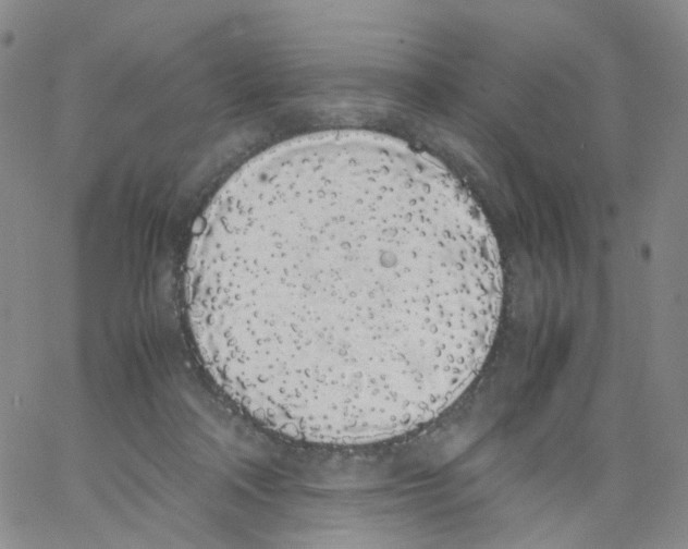 X0000062900314200602101813