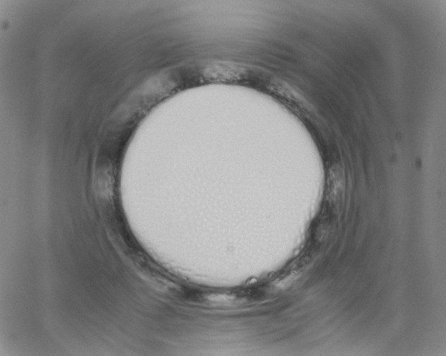 X0000062900315200602101813