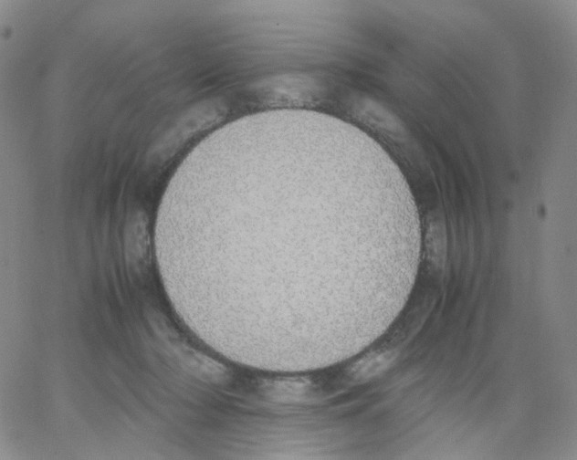 X0000062900318200602101813