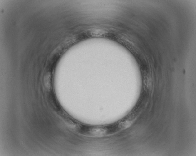 X0000062900319200602101813