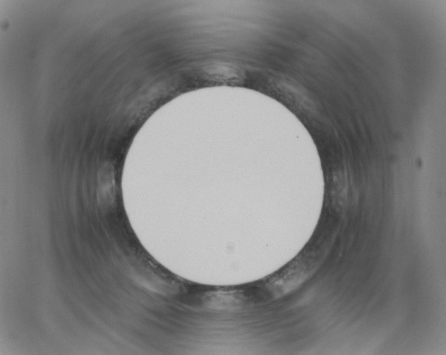 X0000062900320200602101813