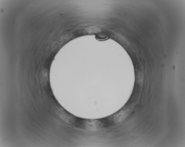 X0000062900321200602101813