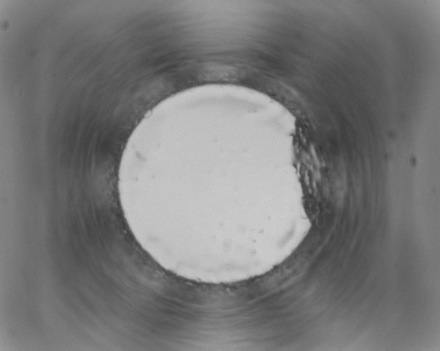 X0000062900322200602101813