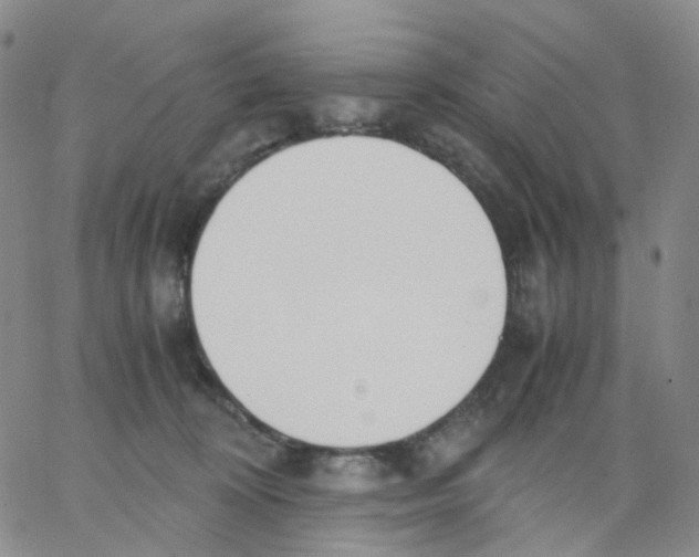 X0000062900324200602101813