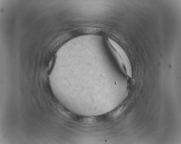 X0000062900325200602101813