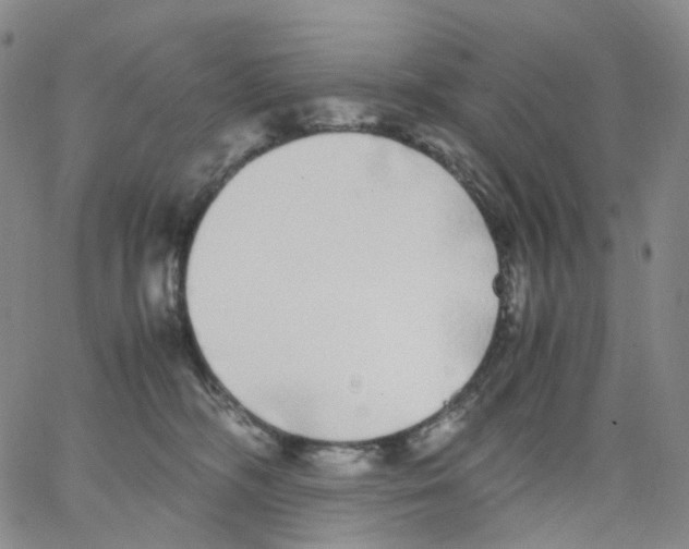 X0000062900326200602101813