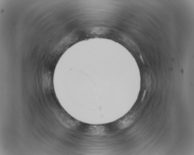 X0000062900328200602101813