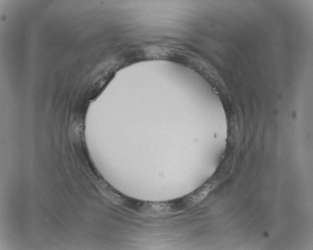 X0000062900329200602101813