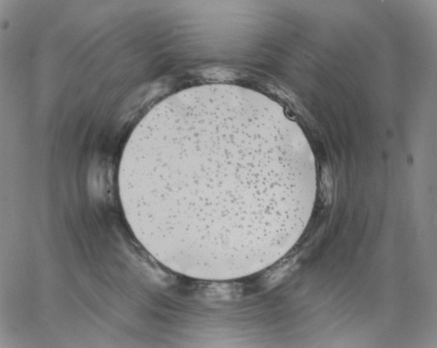 X0000062900330200602101813