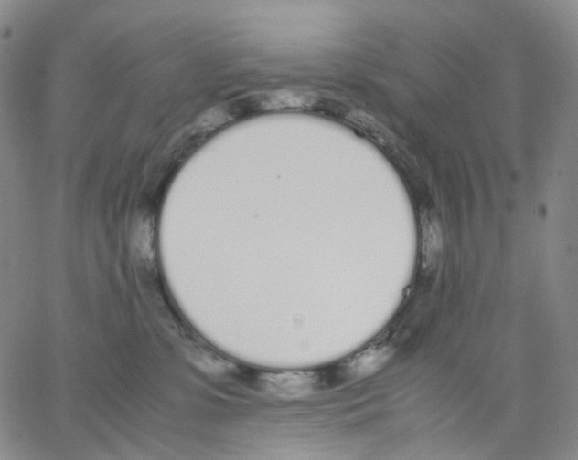 X0000062900331200602101813