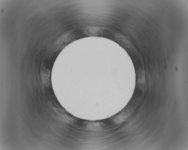 X0000062900332200602101813