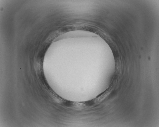 X0000062900333200602101813