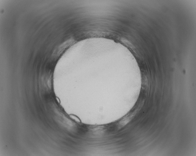 X0000062900334200602101813