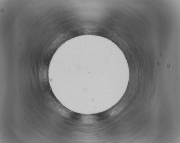 X0000062900336200602101813