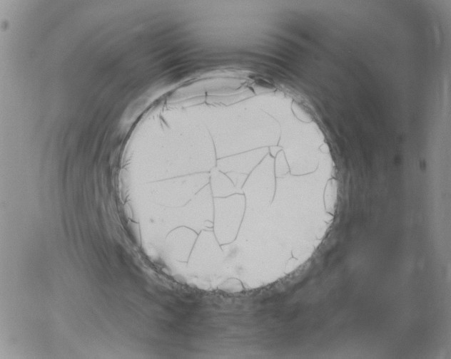 X0000062900337200602101812