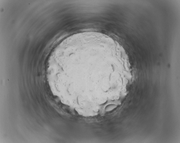 X0000062900339200602101812