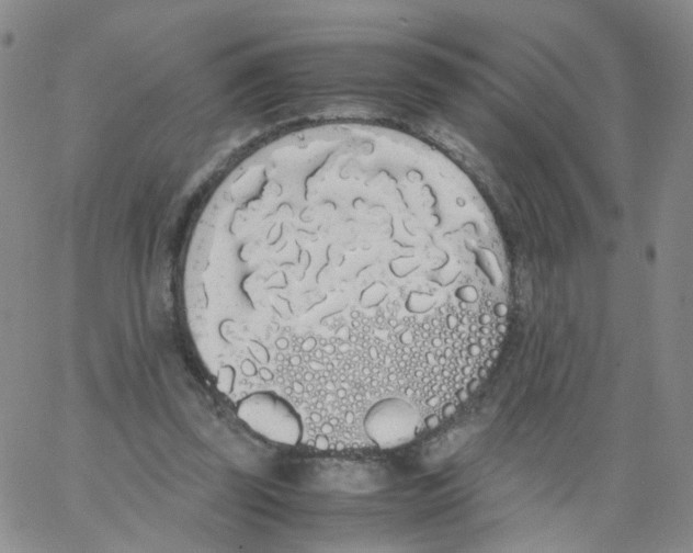 X0000062900347200602101812