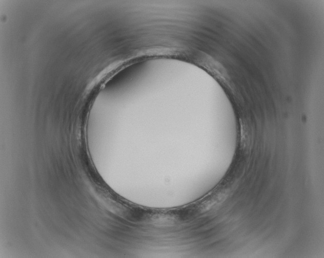 X0000062900348200602101812