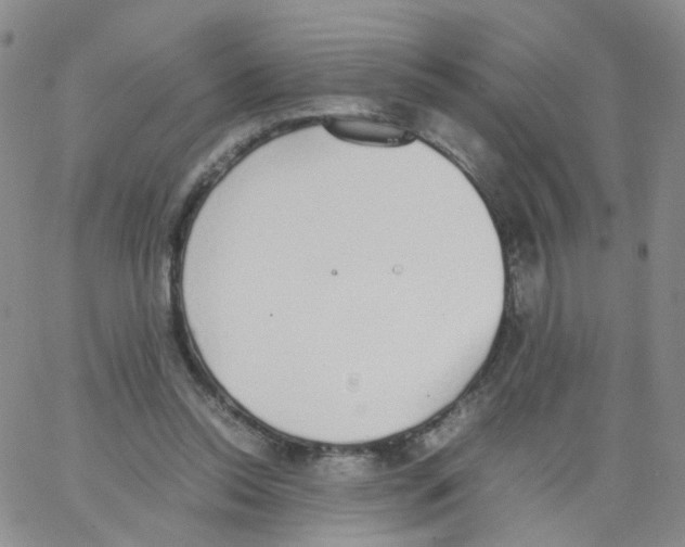 X0000062900350200602101813