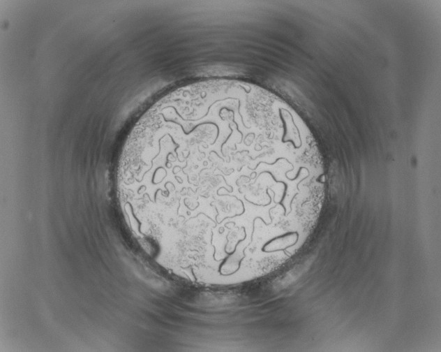 X0000062900351200602101813