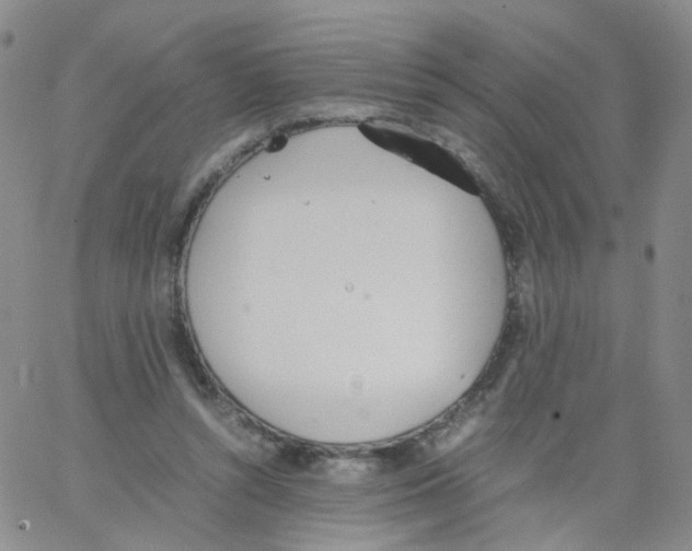 X0000062900352200602101813