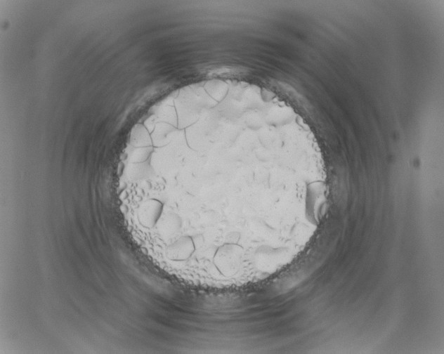 X0000062900357200602101813