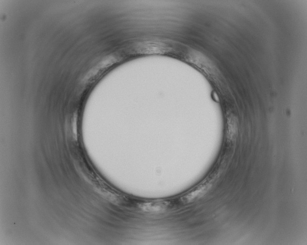 X0000062900358200602101813