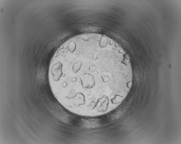 X0000062900359200602101813