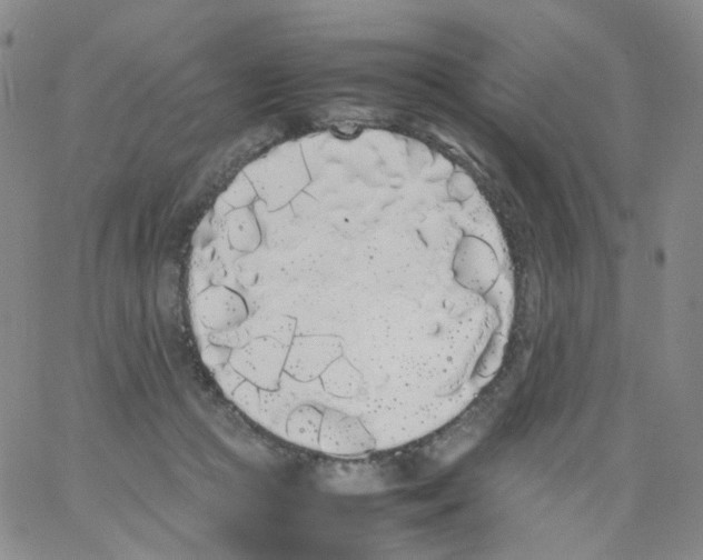 X0000062900361200602101813