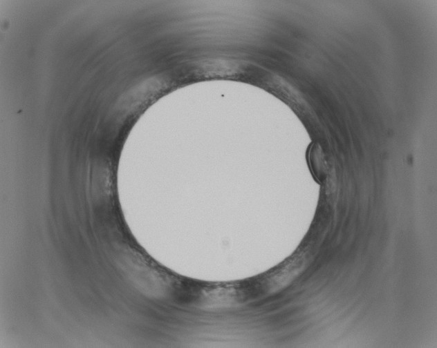 X0000062900362200602101813