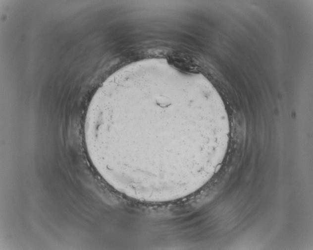 X0000062900363200602101813