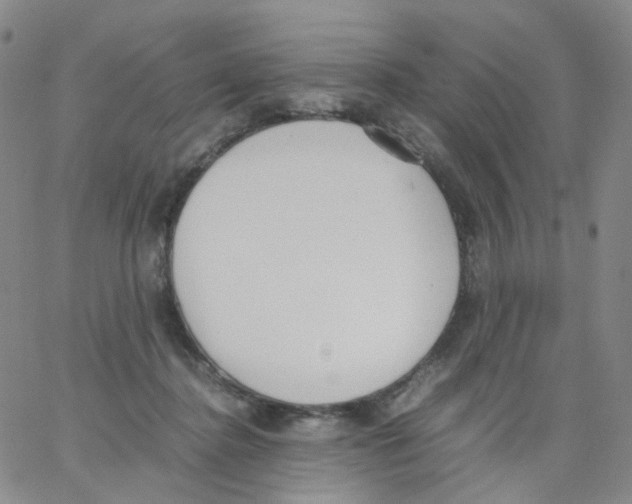 X0000062900364200602101813