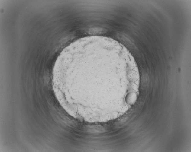 X0000062900367200602101813