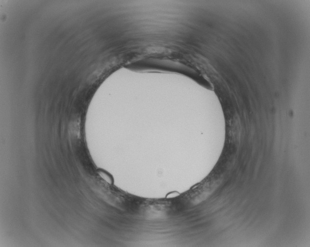 X0000062900368200602101813