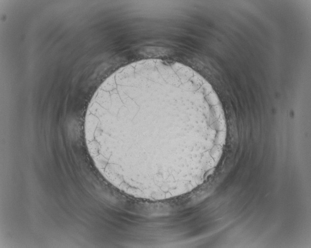 X0000062900371200602101813