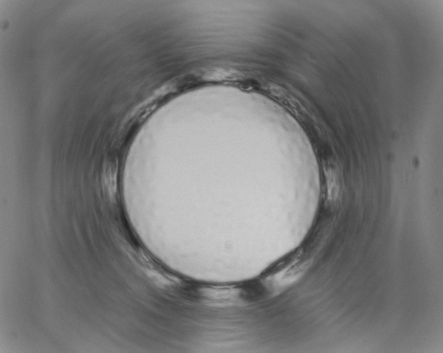 X0000062900372200602101813