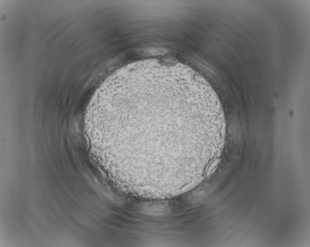 X0000062900373200602101813