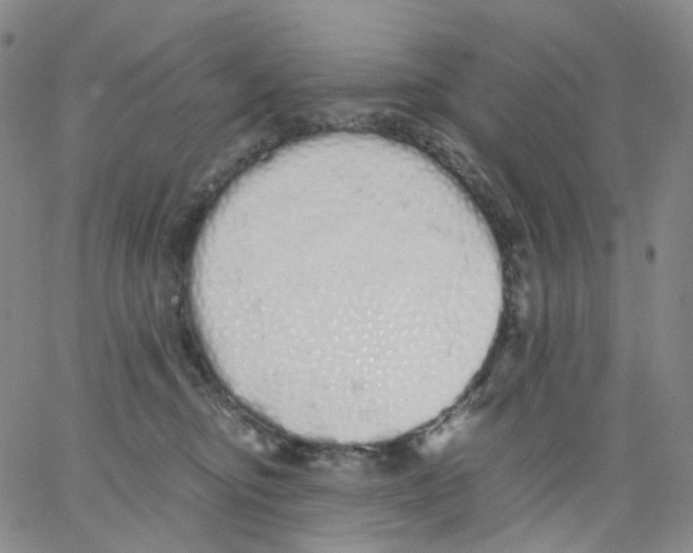 X0000062900374200602101813