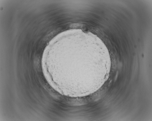 X0000062900375200602101813