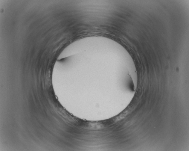 X0000062900376200602101813