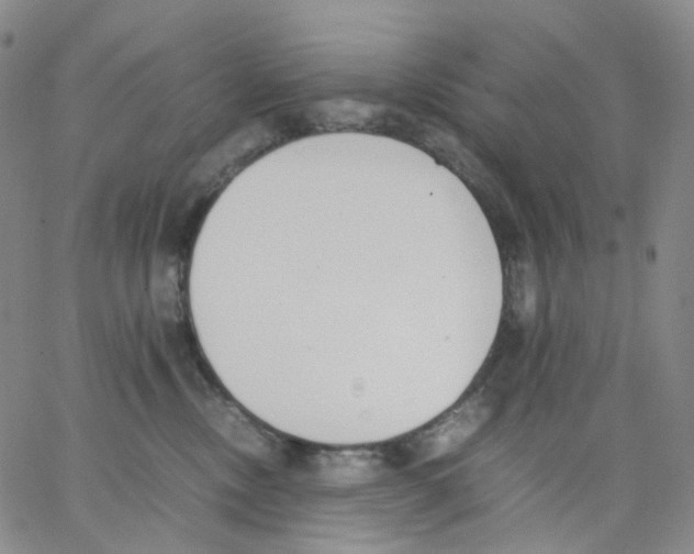 X0000062900378200602101813