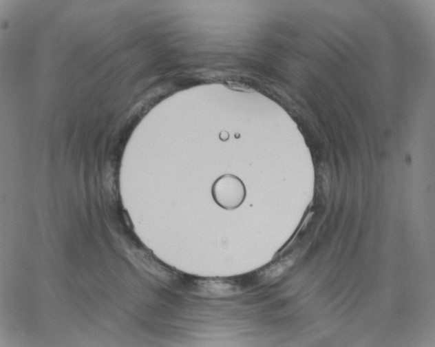 X0000062900380200602101813