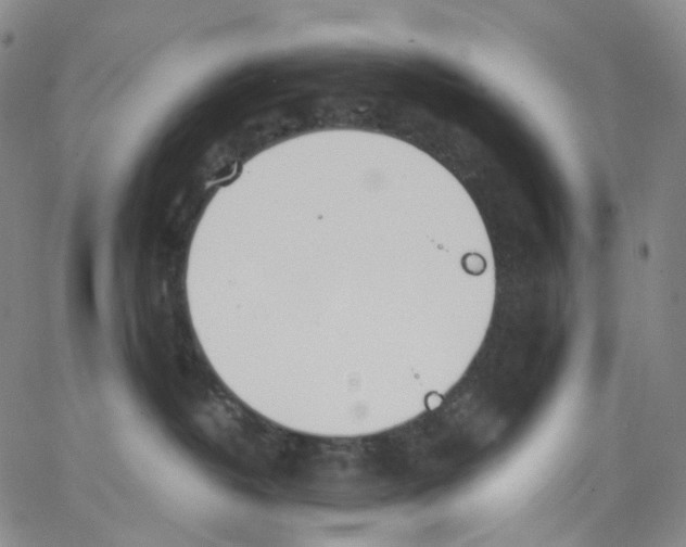 X0000062900382200602101813