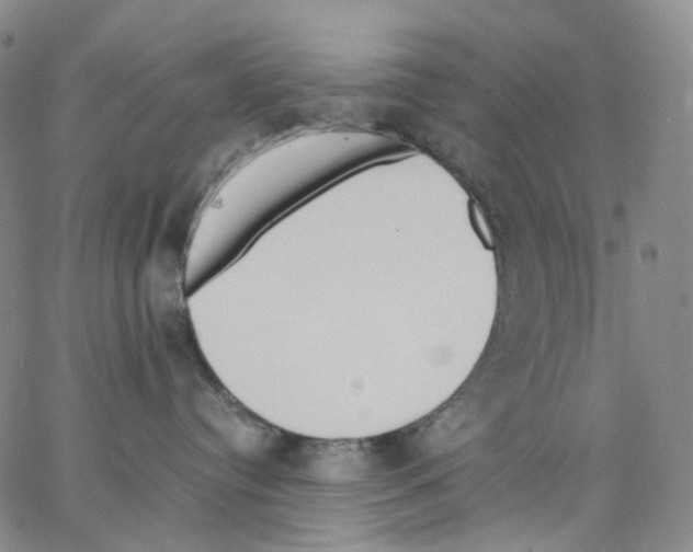 X0000062900384200602101813