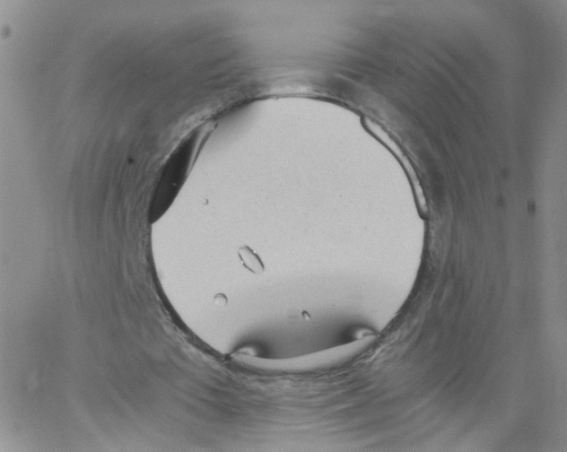 X0000062900385200602101812