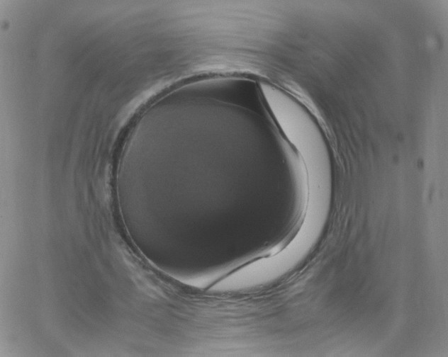 X0000062900387200602101812