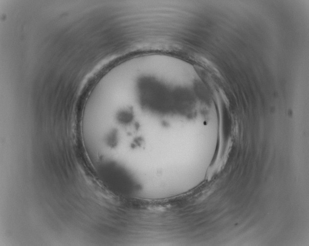 X0000062900388200602101812