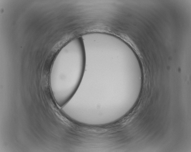 X0000062900393200602101812