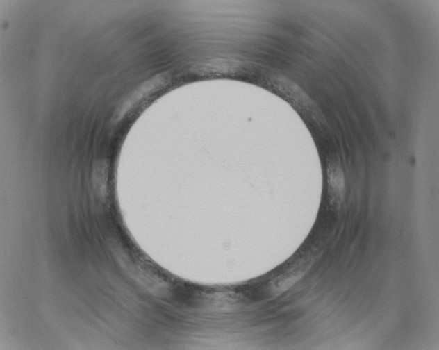 X0000062900396200602101812